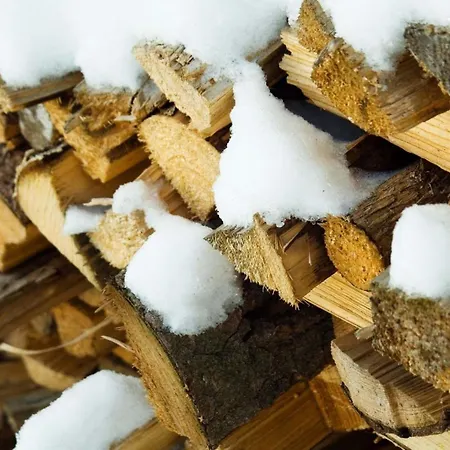 Exklusive Mit Eigener Sauna Реген